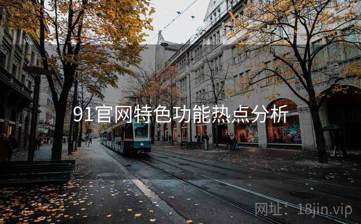 91官网特色功能热点分析