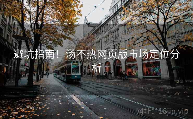 避坑指南！汤不热网页版市场定位分析