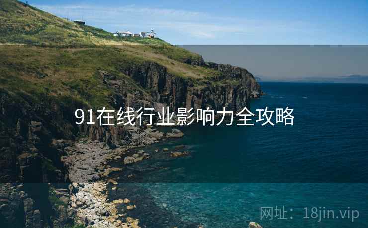 91在线行业影响力全攻略