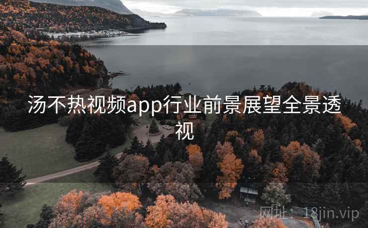 汤不热视频app行业前景展望全景透视