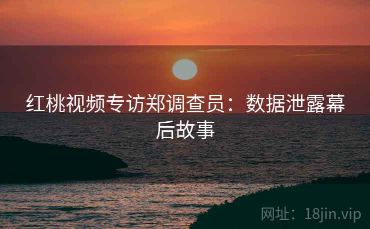 红桃视频专访郑调查员：数据泄露幕后故事